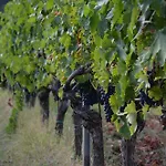 Tenuta דירה Piecorto